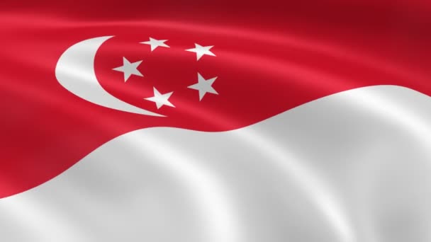 Singapurský vlajka ve větru. — Stock video