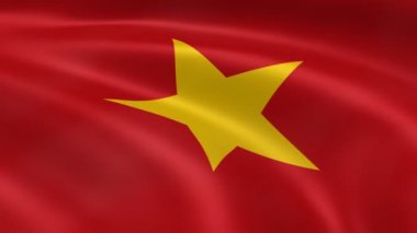 Rüzgar Vietnam bayrağı.