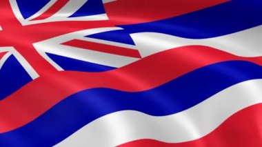 Hawaiian bayrak Rüzgar.