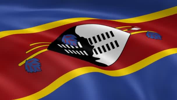 Swazi vlag in de wind. — Stockvideo