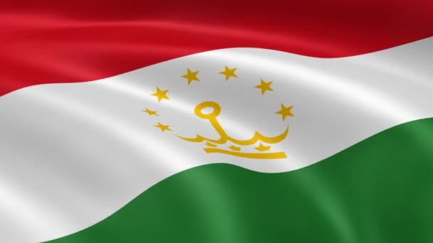 Tajikistani flag in the wind. — Stock Video