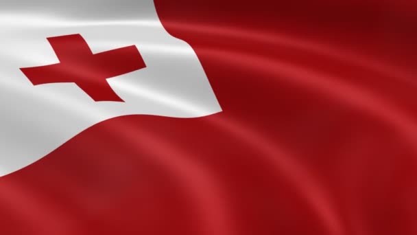 Drapeau des Tonga dans le vent . — Video