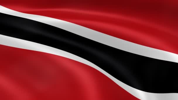 Trinidadian flag in the wind. — Stock Video