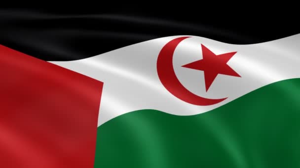 Bandiera del Sahara occidentale al vento . — Video Stock