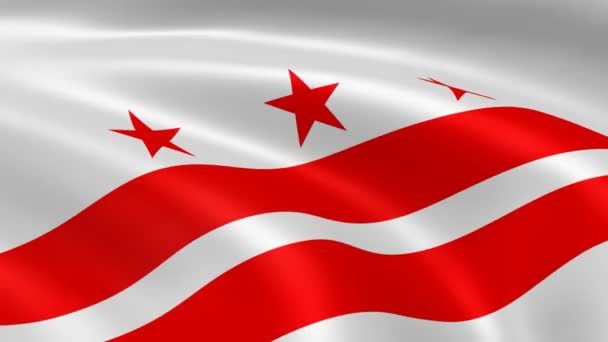 Le drapeau de Washington dans le vent .