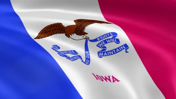 Iowan vlag in de wind. — Stockvideo