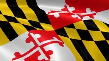 marylander bayrak Rüzgar.