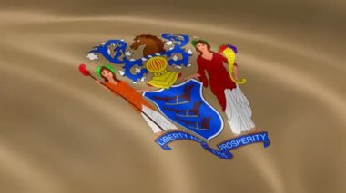 Yeni jerseyan bayrak