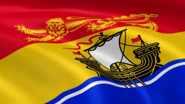 Drapeau du Nouveau-Brunswick dans le vent . — Video