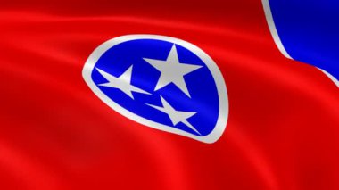 Tennessean bayrak Rüzgar