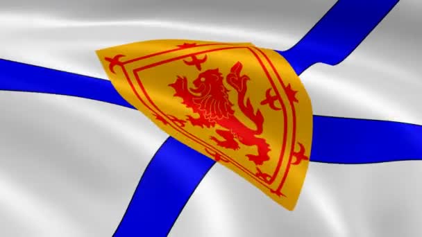 Nova Scotian Territorian прапор на вітрі — стокове відео