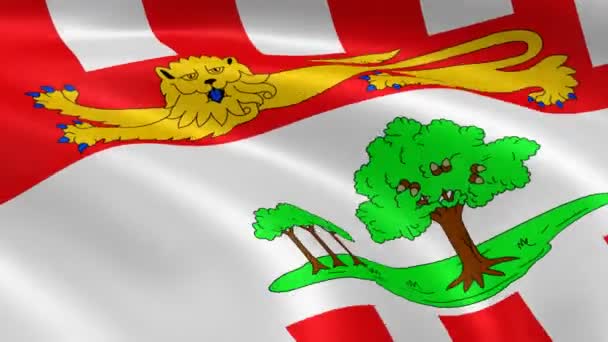 Флаг Острова Принца Эдуарда на ветру — стоковое видео