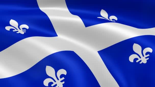 Drapeau québécois dans le vent — Video