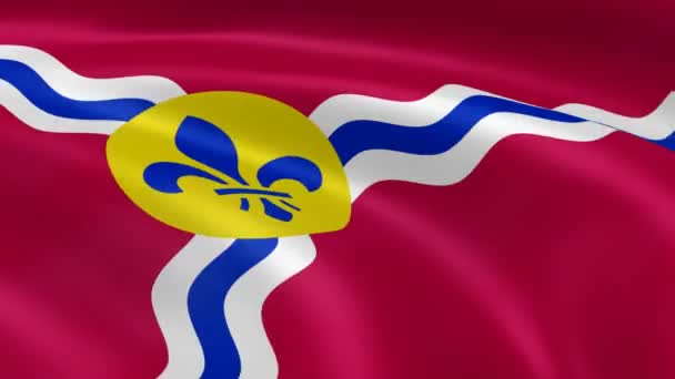 圣 louisan 国旗在风中 — 图库视频影像