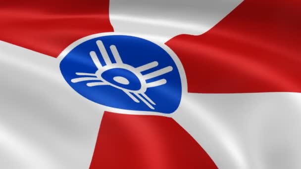 Bandeira de Wichita ao vento — Vídeo de Stock
