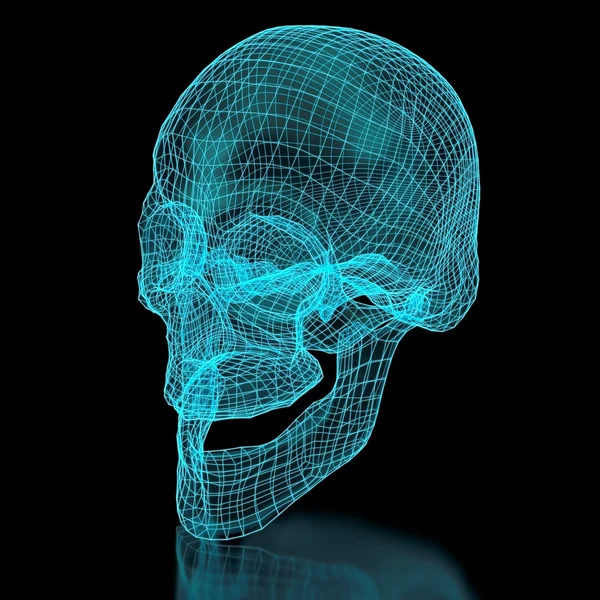 Crânio de malha 3D — Fotografia de Stock