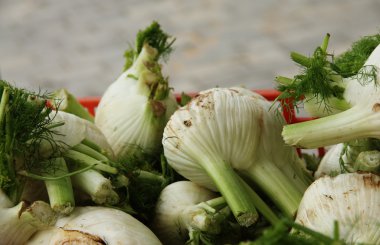 Organik sarımsak