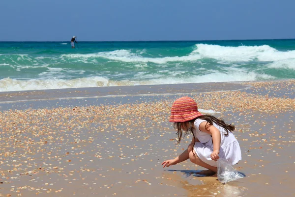 Little girl collects shells on the beach — Stock Photo, Image