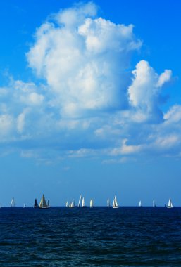 Denizde yelkenli katamaran