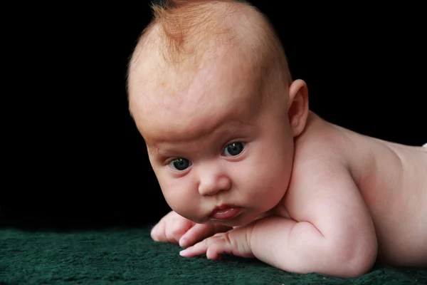 Two month old adorable baby — Stock Photo, Image