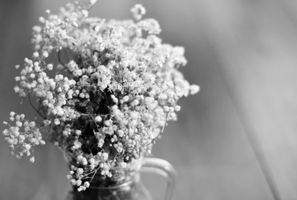 Black and white abstract flower background, soft focus — Stock Photo, Image