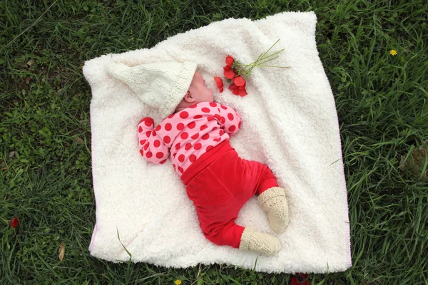 Месячная девочка лежит на белом одеяле рядом с красными маками — стоковое фото