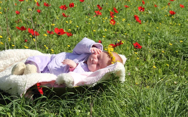 Kırmızı gelinciklerin yanındaki çimlerde yatan bir aylık kız. — Stok fotoğraf