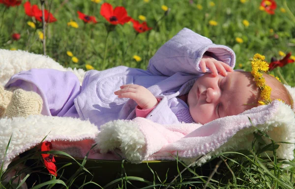 Niña de un mes acostada en la hierba junto a las amapolas rojas — Foto de Stock