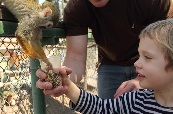 Child feeding a monkey in a zoo — Stock Photo, Image