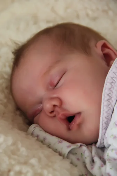 Bebê mensal dorme em um cobertor branco — Fotografia de Stock