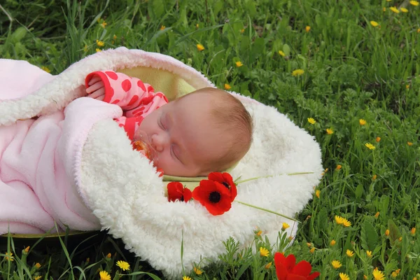 Meisje van de maand-oude liggend op witte deken naast de rode papavers — Stockfoto