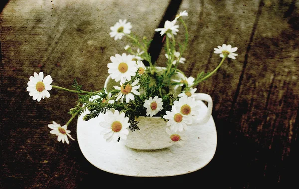 Margherite primaverili su tazza bianca. vecchio stile immagine foto . — Foto Stock