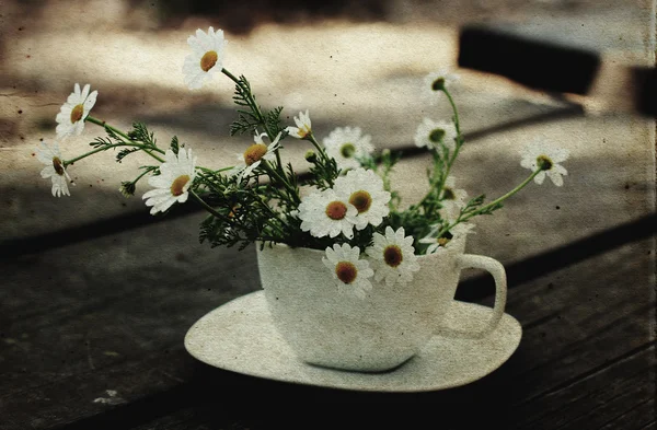 Margaritas de primavera en taza blanca. Foto de estilo de imagen antigua . —  Fotos de Stock