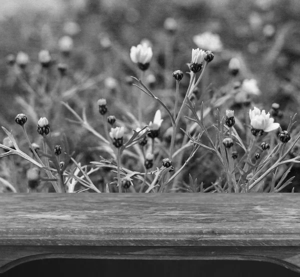 Mesa de madeira vintage com fundo texturizado natural — Fotografia de Stock