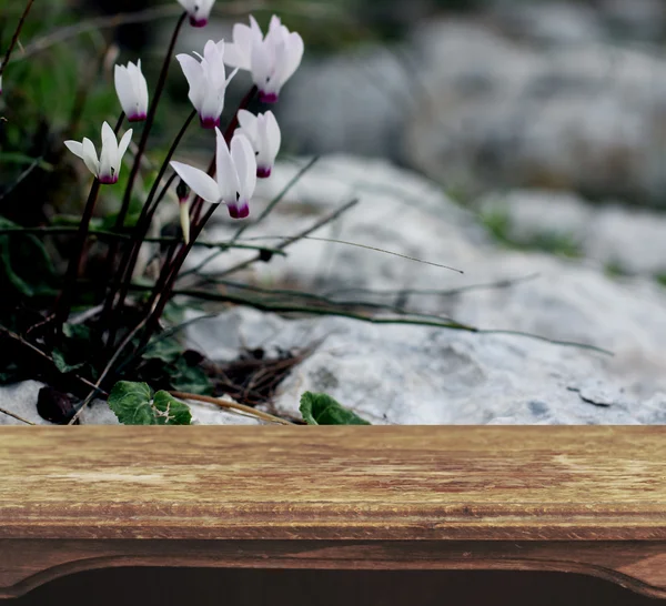 Sztuka drewniany stół z naturalnego tła — Zdjęcie stockowe