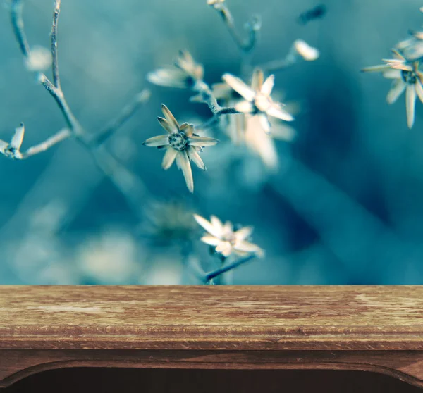 Table over natural background — Stock Photo, Image