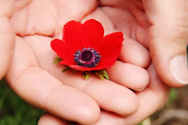 Kvinna med blommor — Stockfoto