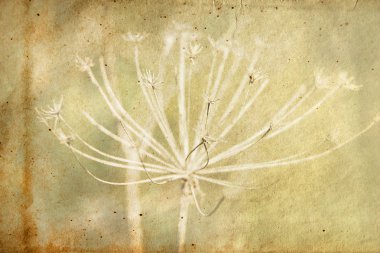 çiçek dokulu kağıt