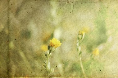 çiçek dokulu kağıt