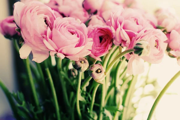 pink flowers