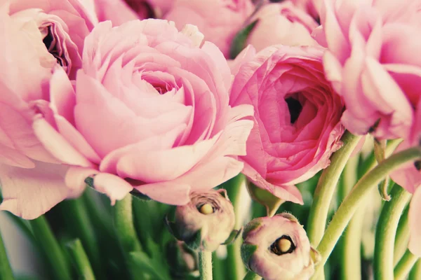 pink flowers