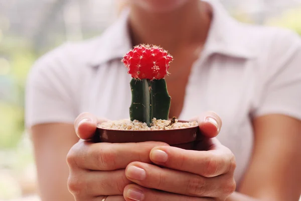 Mujer con cactus — Foto de Stock