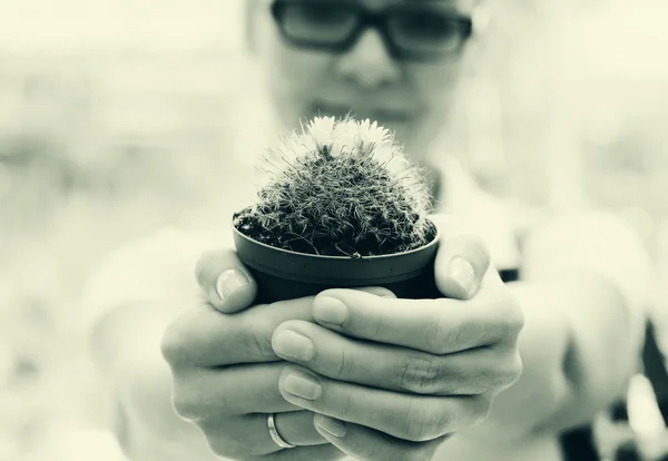 Woman with cactus — Stock Photo, Image