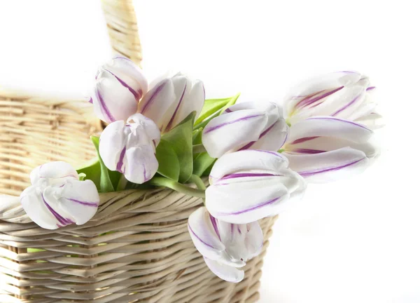 Bouquet di narcisi gialli — Foto Stock