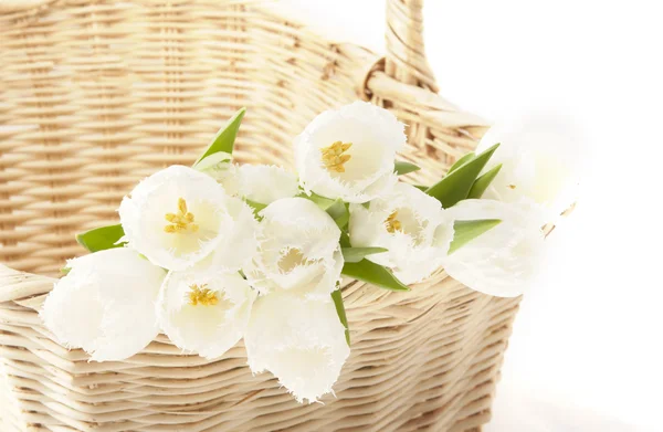 Bouquet di narcisi gialli — Foto Stock