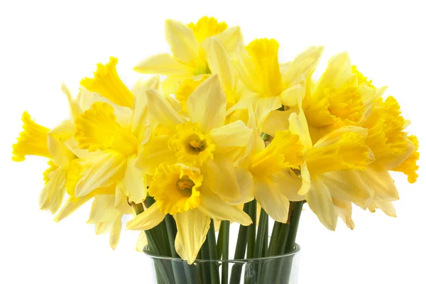 Bouquet di narcisi gialli — Foto Stock
