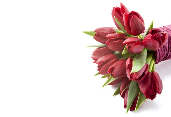 Bouquet de tulipes rouges sur fond blanc — Photo