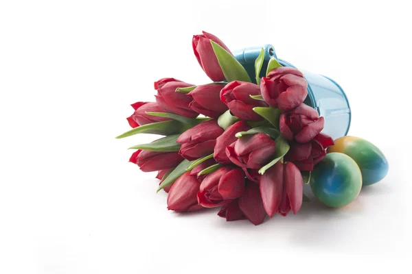 Bouquet of red tulips on white background — Stock Photo, Image