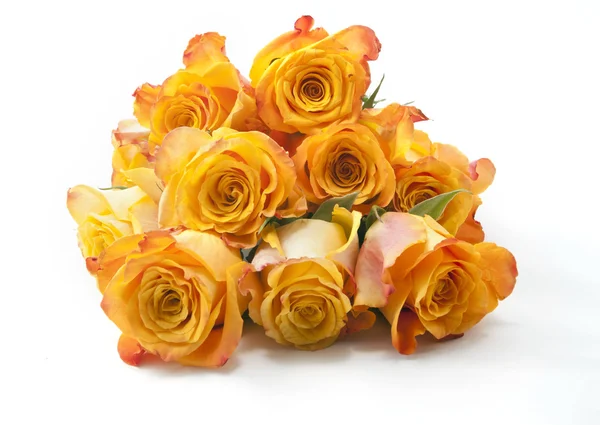 Orangefarbene Rosen isoliert auf weißem Hintergrund — Stockfoto