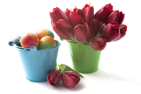 Tulipes rouges et œufs de Pâques dans de petits seaux — Photo